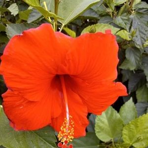 Meet your Posher, Claudia